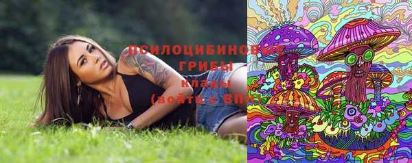спайс Аркадак