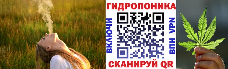 Конопля THC 21%  блэк спрут сайт  Первомайск 